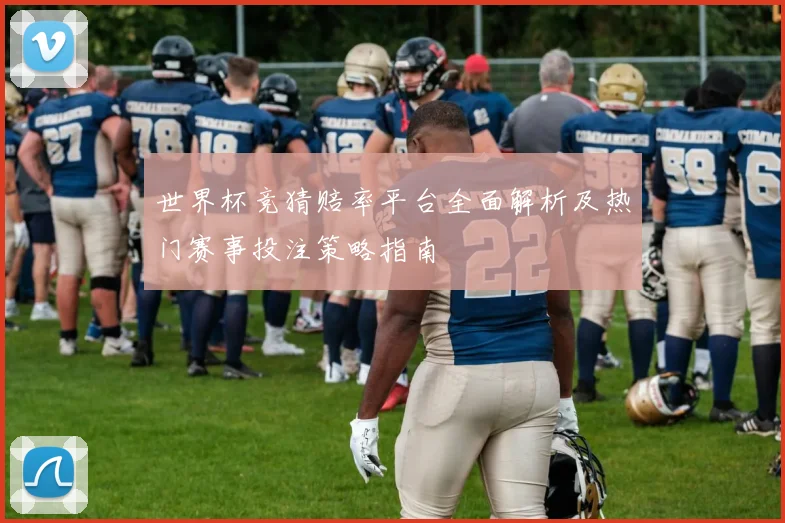 世界杯竞猜赔率平台全面解析及热门赛事投注策略指南