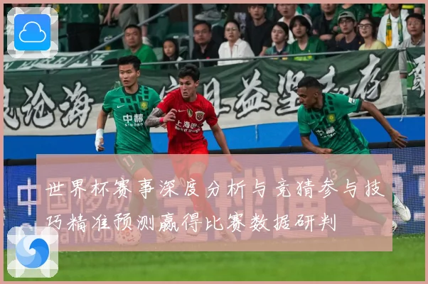 世界杯赛事深度分析与竞猜参与技巧精准预测赢得比赛数据研判