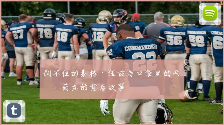 刹不住的泰格·伍兹与口袋里的两粒药丸的背后故事