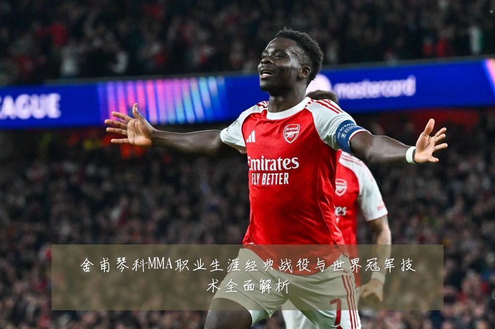 舍甫琴科MMA职业生涯经典战役与世界冠军技术全面解析