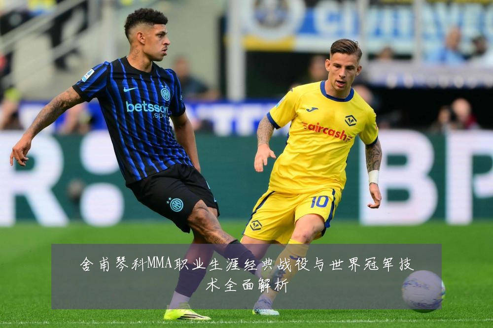 舍甫琴科MMA职业生涯经典战役与世界冠军技术全面解析