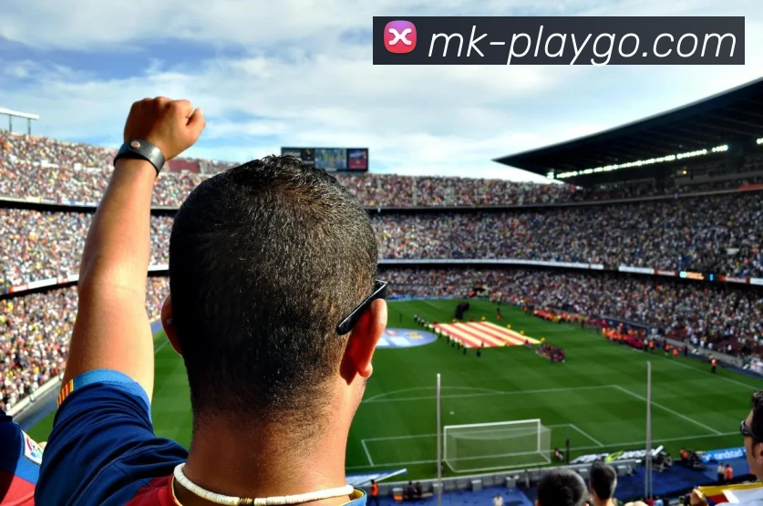 MK体育平台展示图